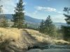 IMG_2446.jpeg
