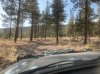IMG_2451.jpeg