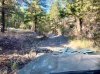 IMG_2454.jpeg