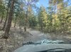 IMG_2453.jpeg