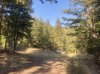 IMG_2479.jpeg