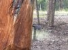 IMG_2480.jpeg
