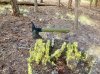 IMG_2481.jpeg