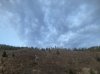 IMG_2497.jpeg