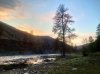 IMG_2498.jpeg