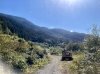 IMG_2691.jpeg