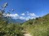 IMG_2692.jpeg
