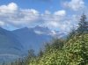 IMG_2693.jpeg