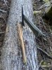 IMG_2712.jpeg