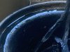 IMG_2717.jpeg