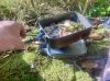 IMG_2730.jpeg