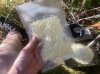 IMG_2734.jpeg