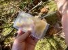 IMG_2739.jpeg