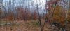20241027_132012.jpg