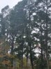 20241214_141308.jpeg