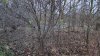 IMG-20241220-WA0005.jpeg
