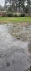 20250109_163249.jpeg