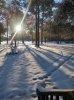 IMG_20250122_082913730.jpg