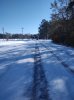 IMG_20250122_101650182.jpg