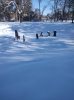 IMG_20250122_101118874.jpg