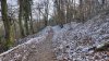 IMG_20250219_102210.jpg