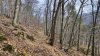 IMG_20250219_121347.jpg