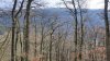 IMG_20250219_122548.jpg
