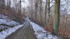 IMG_20250219_103253.jpg