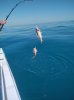 IMG_20250226_152259982.jpg