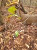 IMG_20250308_115737258.jpg