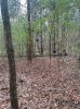 IMG_20250308_120526494.jpg