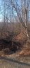 20250416_074223.jpg
