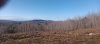 20250416_073723.jpg