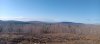 20250416_073734.jpg