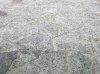 20250815_171848.jpg