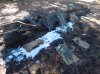 DSCN0951.JPG
