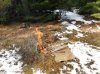 DSCN0817.JPG