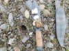 DSCN2063.JPG