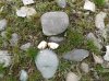 DSCN2064.JPG